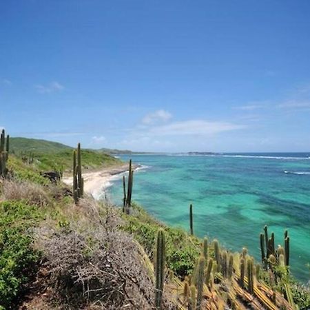 Appartamento Le Hamo - Tropical : T2 piscine proche plage Sainte-Anne Esterno foto