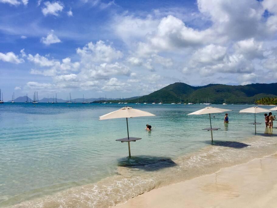 Appartamento Le Hamo - Tropical : T2 piscine proche plage Sainte-Anne Esterno foto