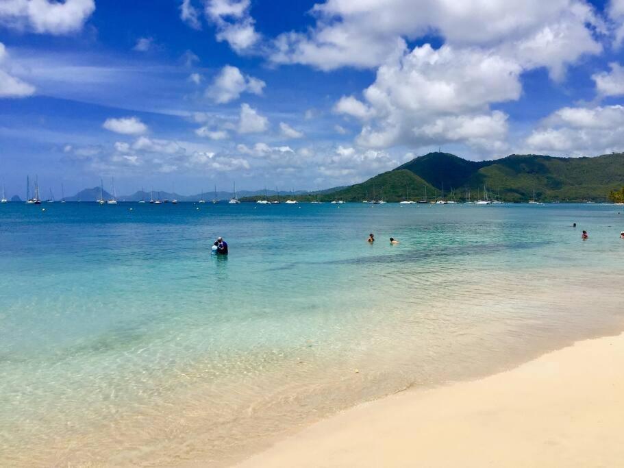 Appartamento Le Hamo - Tropical : T2 piscine proche plage Sainte-Anne Esterno foto