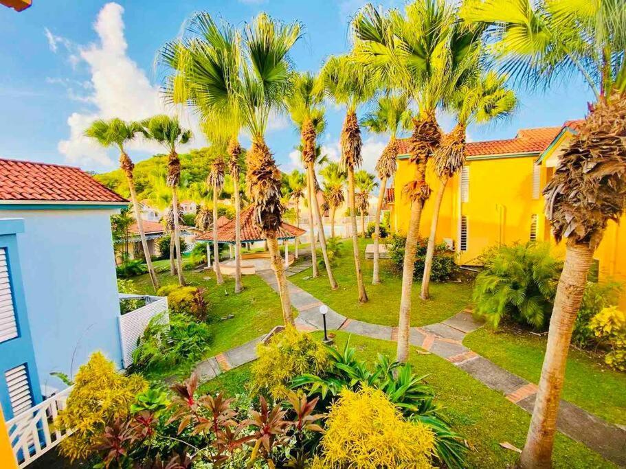 Appartamento Le Hamo - Tropical : T2 piscine proche plage Sainte-Anne Esterno foto