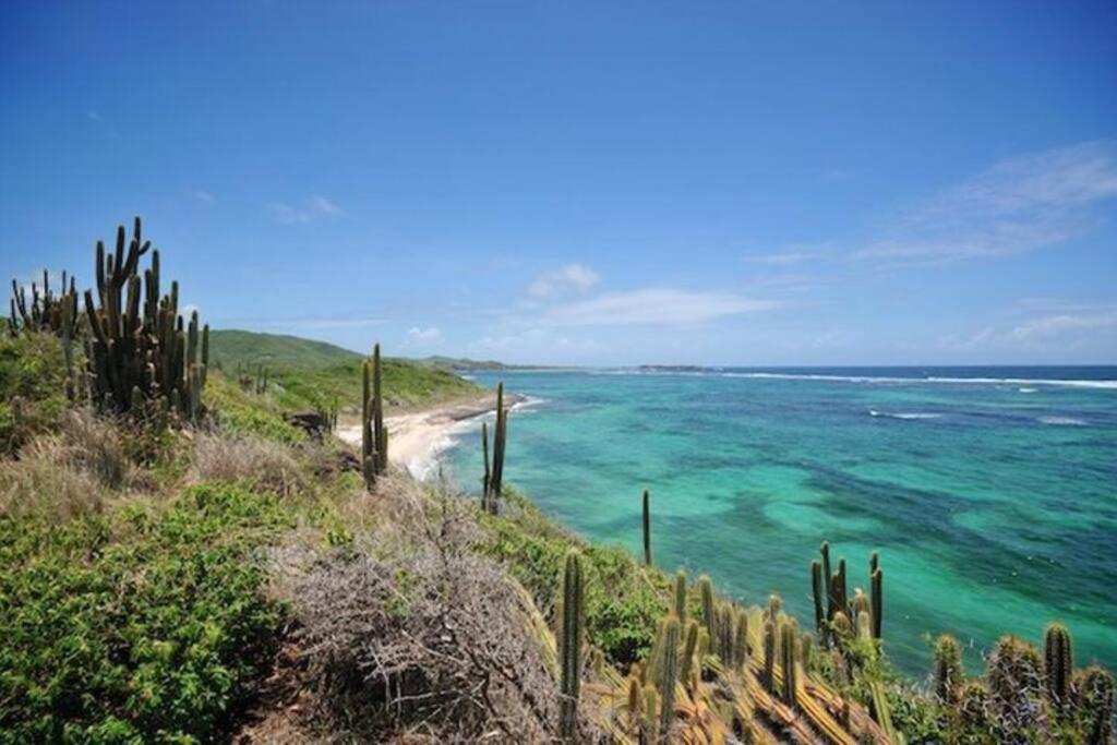 Appartamento Le Hamo - Tropical : T2 piscine proche plage Sainte-Anne Esterno foto