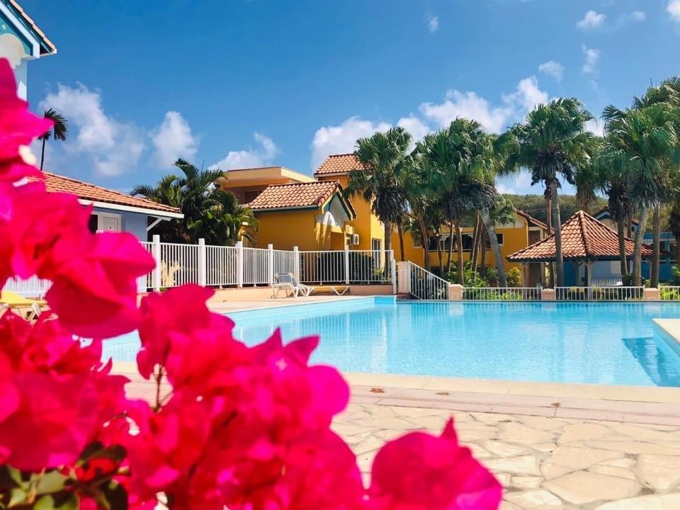 Appartamento Le Hamo - Tropical : T2 piscine proche plage Sainte-Anne Esterno foto